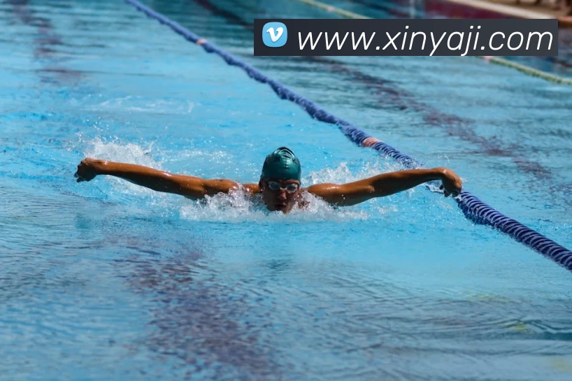 九游网页版平台生态图